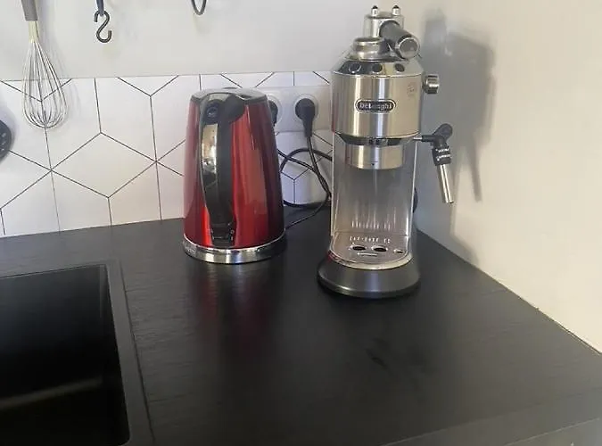 Ginkobiloba : Cosy En Coeur De شقة Bagnères-de-Bigorre