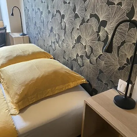 Ginkobiloba : Cosy En Coeur De Apartment *