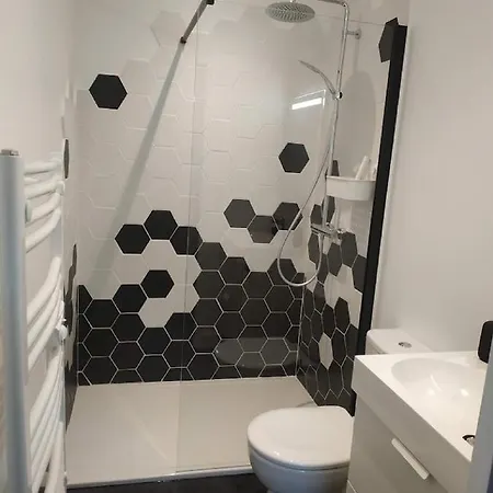 Ginkobiloba : Cosy En Coeur De Bagnères-de-Bigorre